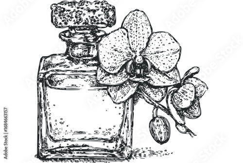 Line Drawing of Glass Perfume Bottle with Orchid Flower and Buds. Vector hand drawn illustration
