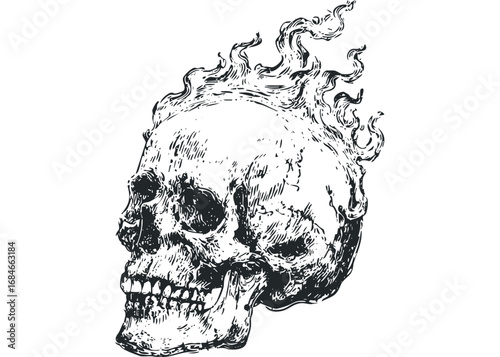 Detailed ink sketch of a human skull with fiery hair on transparent background. Vector hand drawn illustration