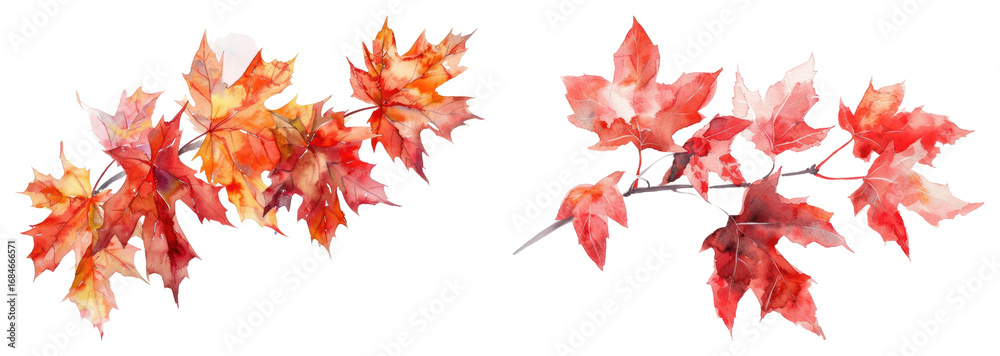 Fototapeta premium PNG Vibrant watercolor autumn leaves, element set on transparent background