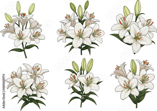 Elegant white lily flowers with green leaves, fresh spring bloom, natural botanical design, floral garden bouquet, beautiful flowering plant, vibrant seasonal petals, peaceful nature background art.