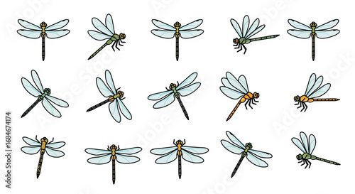 Captivating dragonfly collection showcasing delicate wings and vibrant bodies in various poses for nature designs