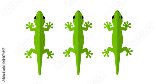 Three vibrant green geckos are displayed from a top-down perspective against a clean white backdrop