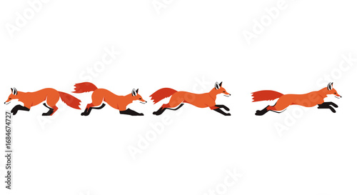 Dynamic foxes in motion capturing their energetic pursuit and swift agility