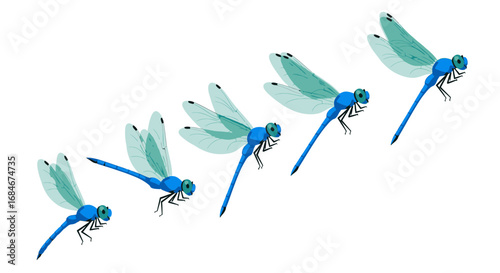 Vibrant blue dragonflies gracefully take flight in a dynamic sequence, symbolizing freedom and nature's beauty