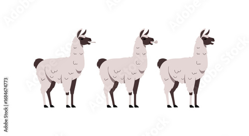 Three fluffy llamas standing together, one with a cigarette in its mouth, another with a straw