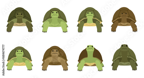 Collection of eight charming cartoon tortoises in various shades of green and brown, showcasing simple, friendly designs for educational or playful use.