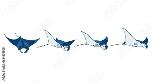 Graceful manta rays glide through ocean depths, showcasing marine life's beauty and wonder