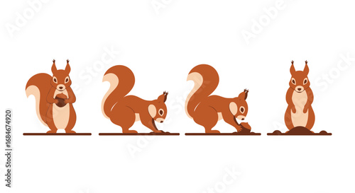 Charming squirrels prepare for winter gathering nuts and burying them in the ground