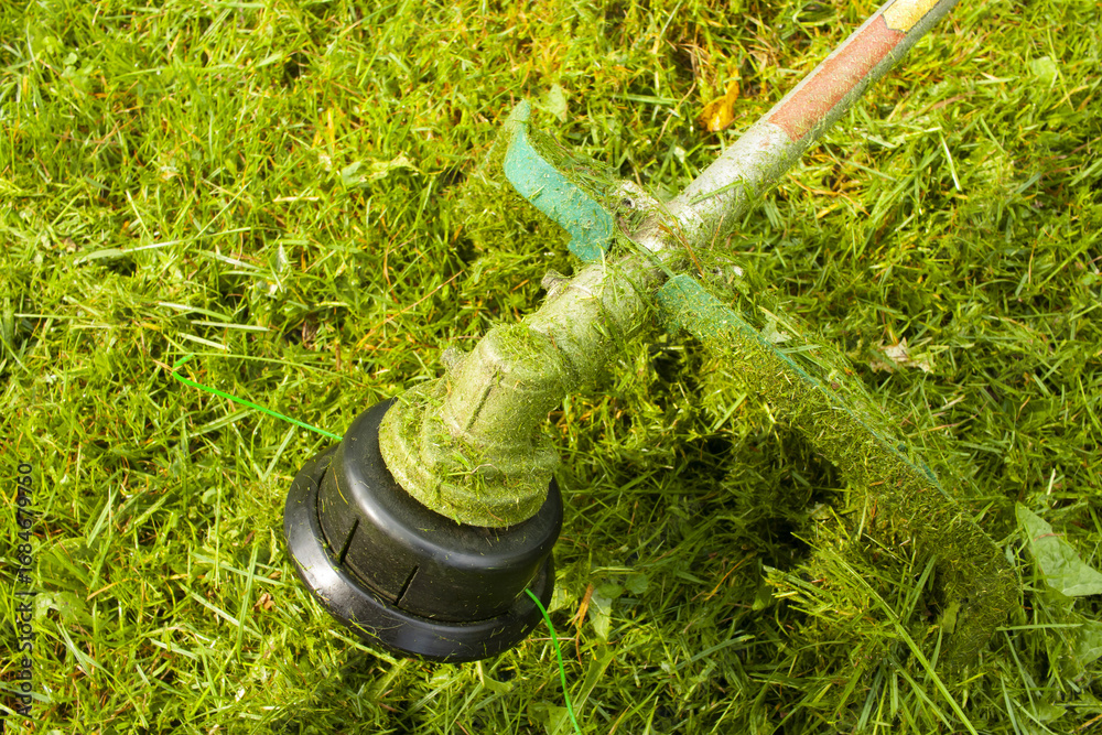 Fototapeta premium String Trimmer. Mowing the lawn. Lawn trimmer. Cut the Grass