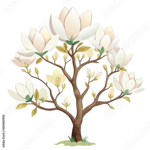 A delicate magnolia tree with large white blossoms and green leaves, a beautiful and classic illustration on a clean white background, symbolizing spring.