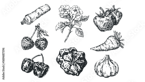 Vintage sketch of assorted fresh produce and flowers on transparent background. Vector hand drawn illustration