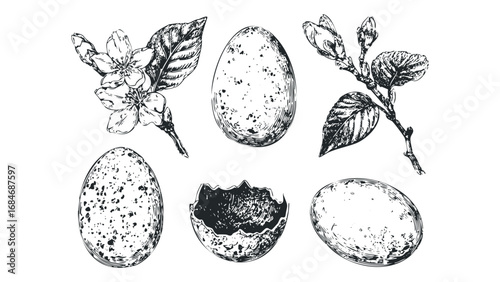 Sketch Collection of Eggs and Blossoming Branches on Transparent Background. Vector hand drawn illustration