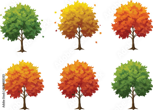Seasonal tree vector set, green to autumn transition, fall foliage illustration, color change trees, nature cycle concept, vibrant design collection