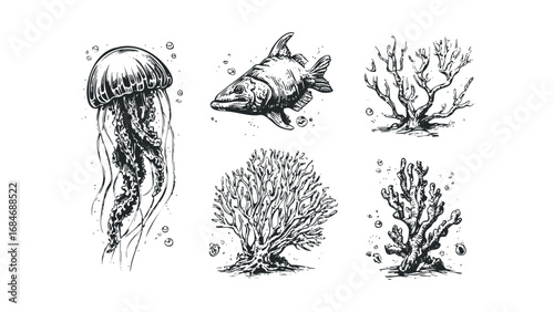 Pristine Ocean Life Collection with Jellyfish and Coral Reef Elements. Vector hand drawn illustration