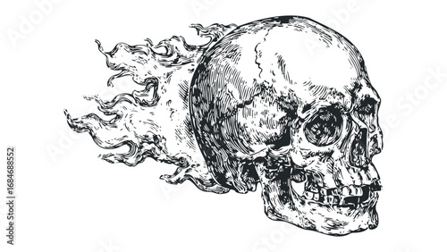 Engraved Human Skull with Swirling Smoke on Transparent Background. Vector hand drawn illustration