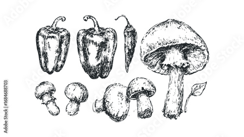 Hand Drawn Collection of Bell Peppers, Chili Pepper, and Mushrooms Sketch on Transparent Background. Vector hand drawn illustration