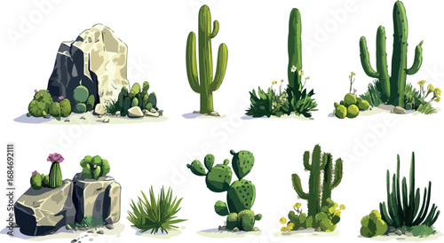 Collection of diverse desert cacti and succulents growing in arid sandy landscapes with rocks
