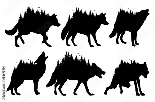 Silhouettes of wolves with coniferous forest.