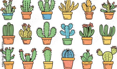 Collection of diverse potted cactus plants in various shapes and sizes with colorful pots