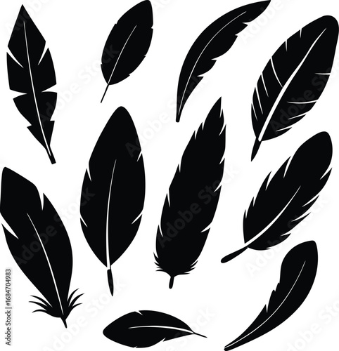 Colorful feather vector illustrations and seamless patterns of various bird plumes, wings, and quills for art and design