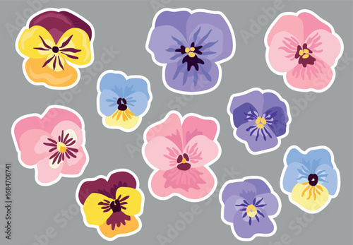 Stickers Illustration of colorful pansy flowers