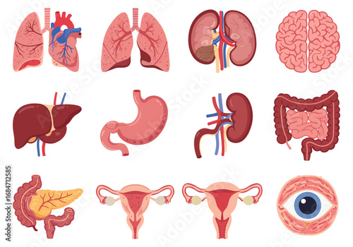 Illustration features various human organs in a grid arrangement