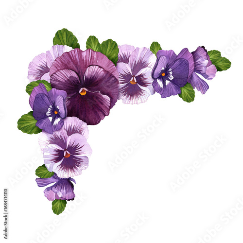Violet flower arrangement of viola watercolor illustration. Spring bouquet of garden flowers. Corner frame of pansies. Floral clip art of violets for cards save the date banners and invitations