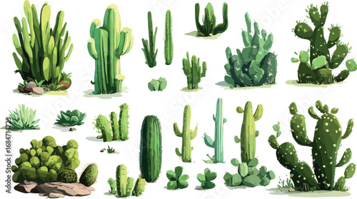 Collection of various desert cacti and succulents growing in sandy soil with rocks and greenery