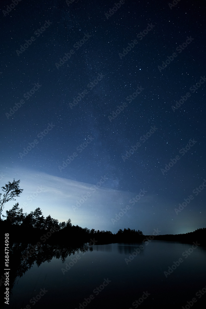 Naklejka premium night landscape with moon and stars