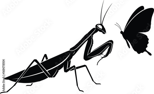 Silhouette of a praying mantis looking at a butterfly, a captivating scene of natures intricate interactions