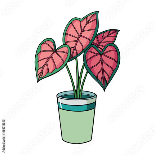 Flat a indoor deciduous plant vector illustration design
