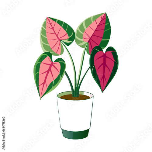 Flat a indoor deciduous plant vector illustration design
