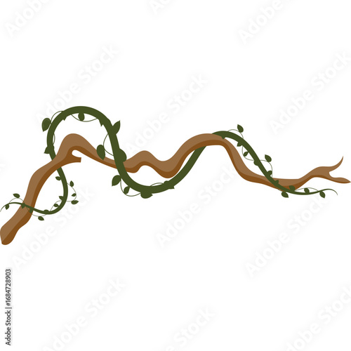 Jungle Branch