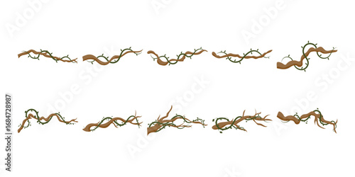 Jungle Branch