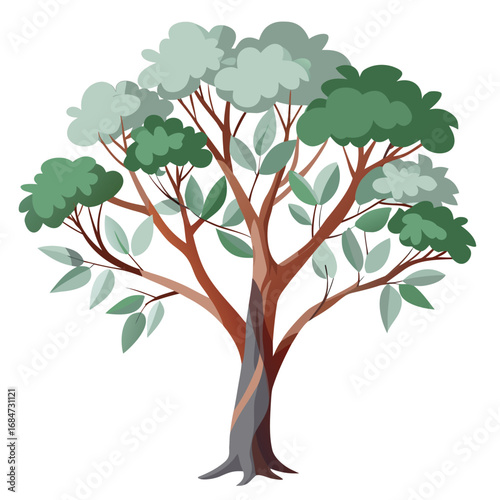 A rugged eucalyptus tree with silvery leaves and peeling bark, a classic illustration on a clean white background, for nature or Australian themes.