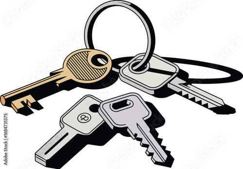 A close up view of a set of keys attached to a metal ring, with a white background and black shadows