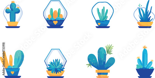 Collection of stylized potted succulents and cacti in geometric glass terrariums on a white background