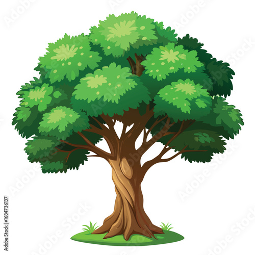 A sturdy ash tree with broad leaves and textured bark, a strong illustration on a clean white background, for nature or landscape themes.