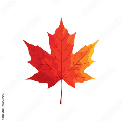A vibrant maple leaf in autumn colors. This vector illustration is perfect for themes of fall, nature, seasonal changes, and Canada.