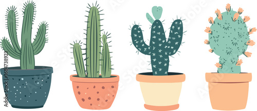 Four potted cacti varieties displayed in decorative pots against a white background
