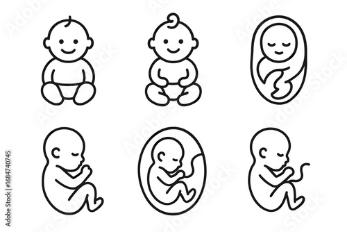 Line art illustrations of baby stages from fetus to newborn