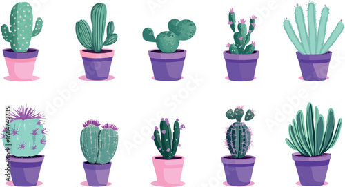 Collection of ten diverse potted cacti and succulents in colorful planters on a white background
