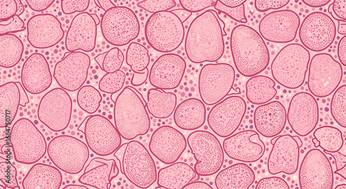 Microscopic view of a biological tissue sample, showing various cell types and structures.