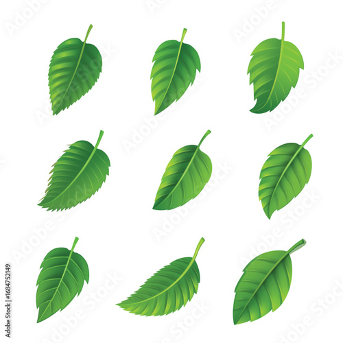 Seamless vector pattern of green leaves, eco-friendly and nature-inspired. Perfect for sustainable branding, backgrounds, and textiles. Fresh, modern, and easily customizable.