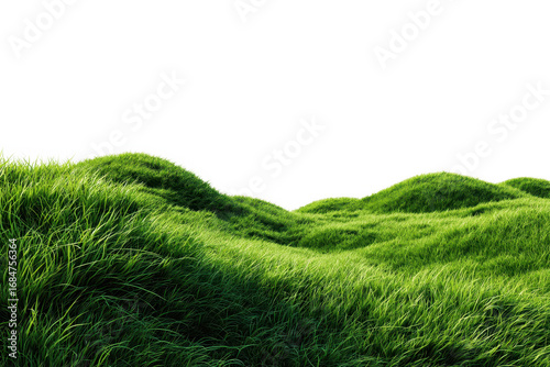 3D illustration of lush green grass meadow isolated on transparent background, green grassy hills for poster banner cover design