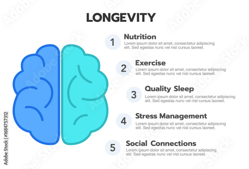 Longevity and healthy living infographic template featuring five essential lifestyle factors: nutrition, exercise, quality sleep, stress management, and social connections. Ideal for presentations.