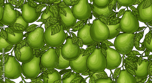 Illustration of many green pears hanging on branches with leaves.