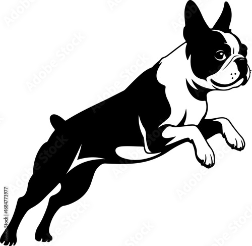 boston terrier dog jump silhouette vector illustration