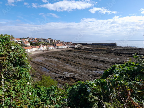 Pittenweem coastline littered with many houses. The rocky beach at low tide and the harbour in the background. The image is framed with the natural foliage in the foreground.