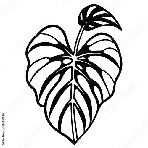 Black and White Outline of a Swiss Cheese Plant Leaf monstera tropical
